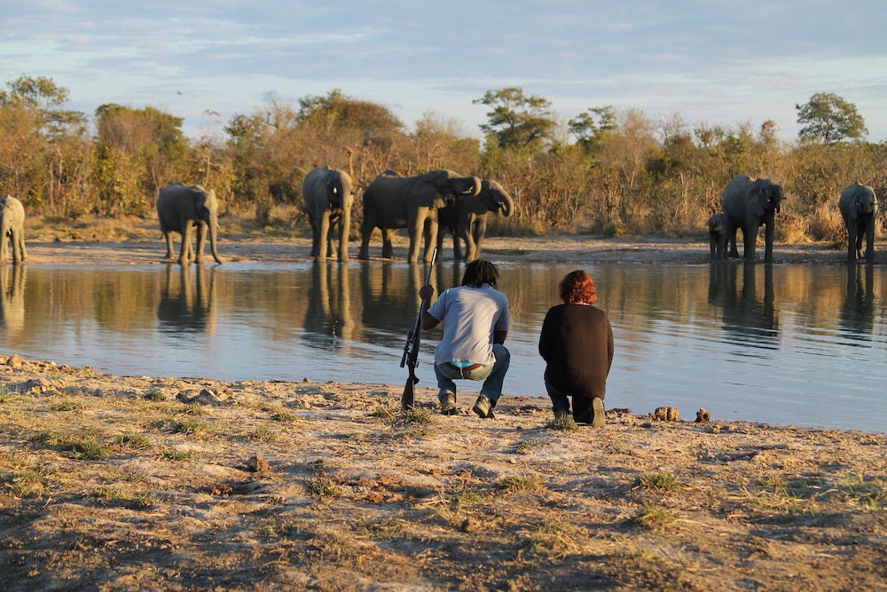 Elephant's Eye, Hwange