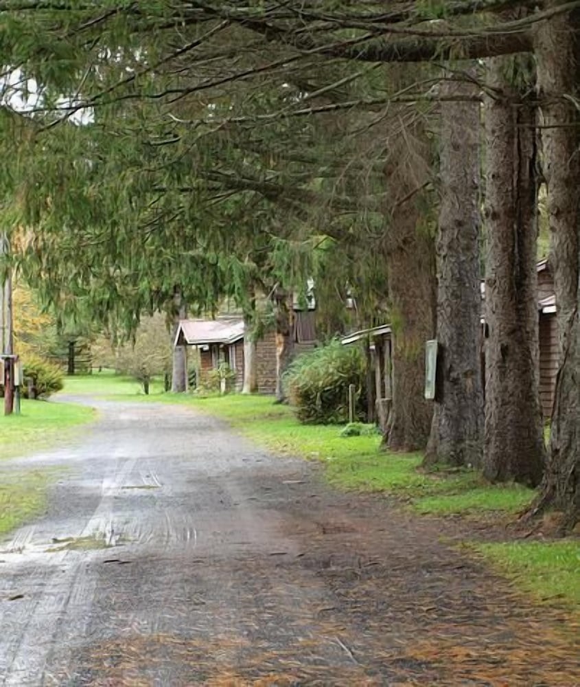 Cold Spring Lodge