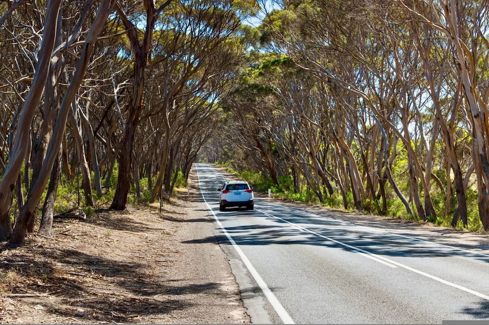 Unwind Kangaroo Island Dreaming