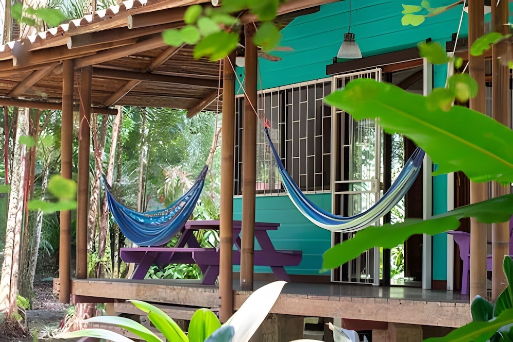 Jungle Dreamz