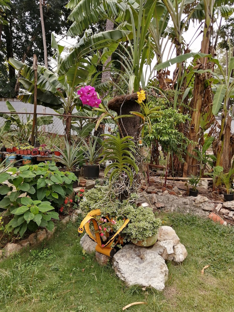 Photo 24