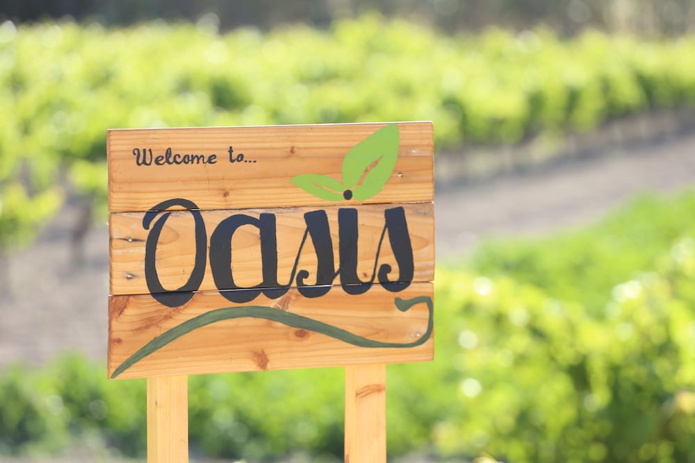 Oasis Rooms & Studios