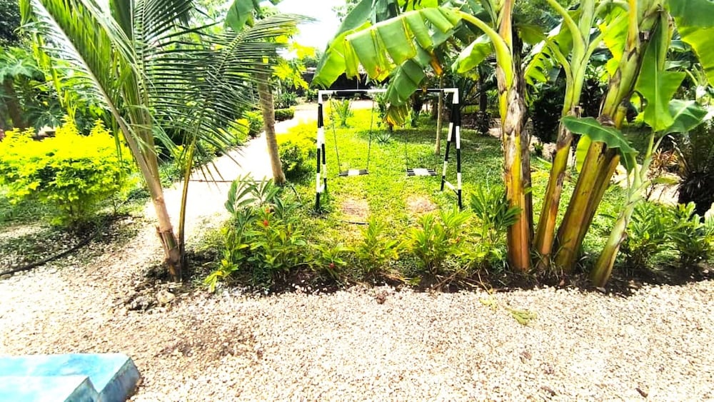 zanzllywood hotel and apartments