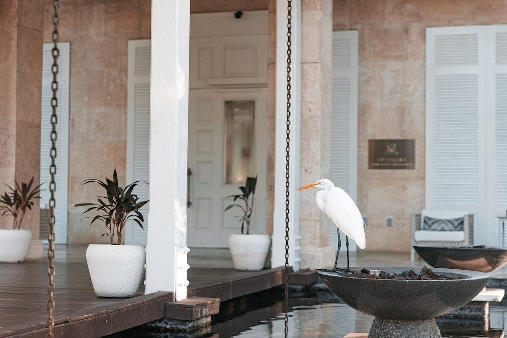 Four Seasons Resort and Residence Puerto Rico - Photo 161
