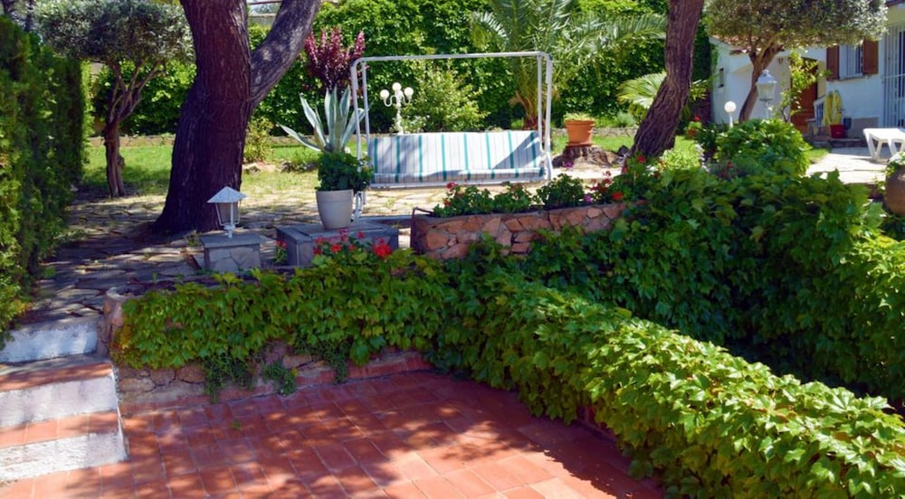 Photo 11
