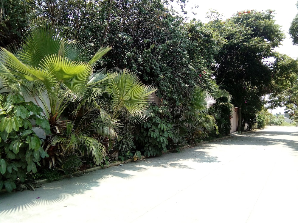Photo 18