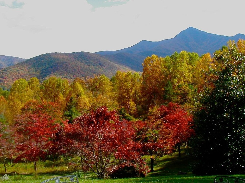 Pisgah View Ranch