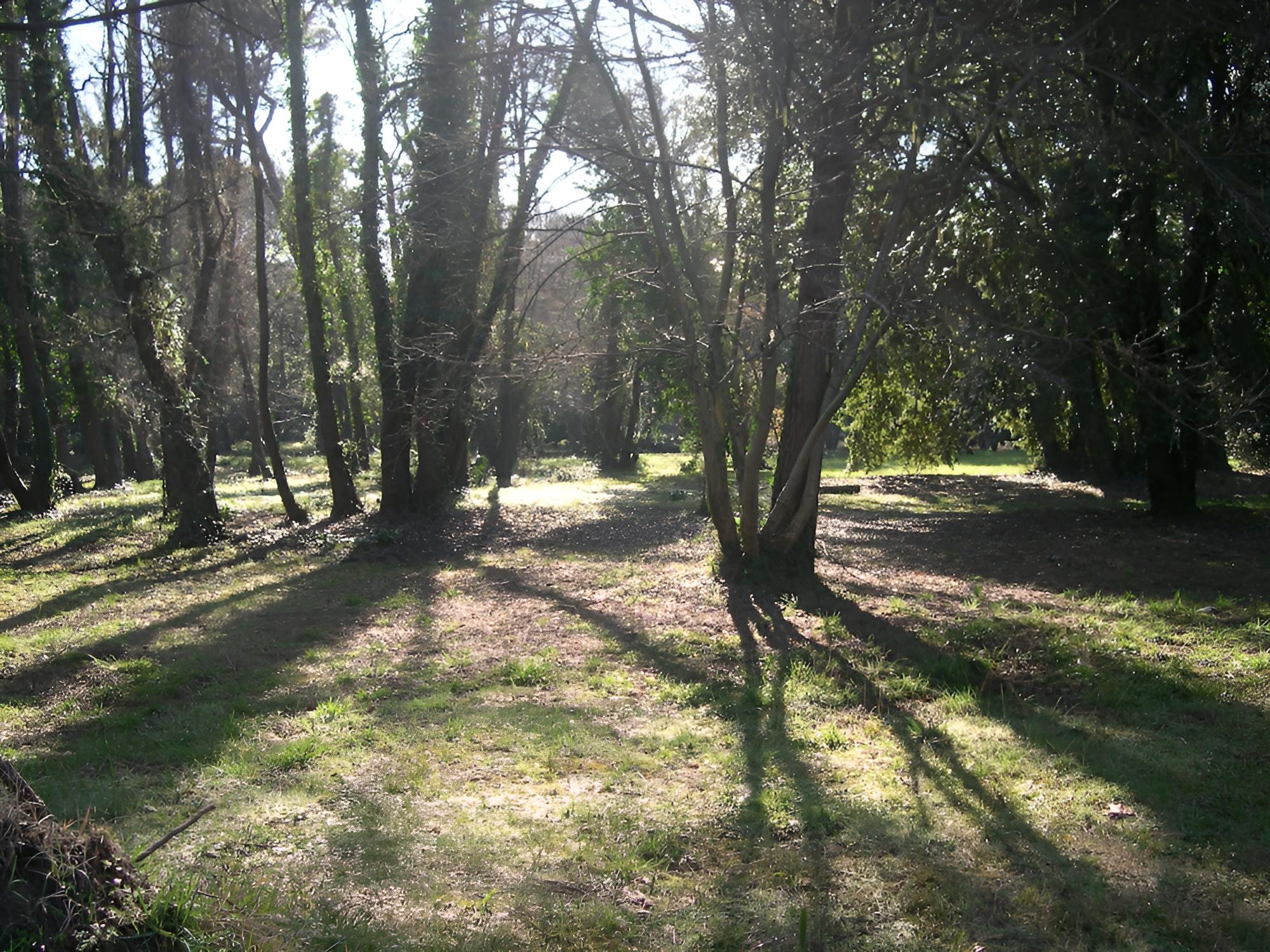 Photo 11