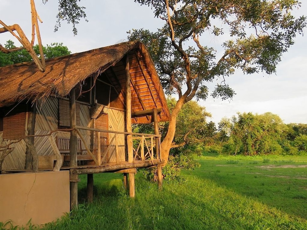 Croc Valley Camp
