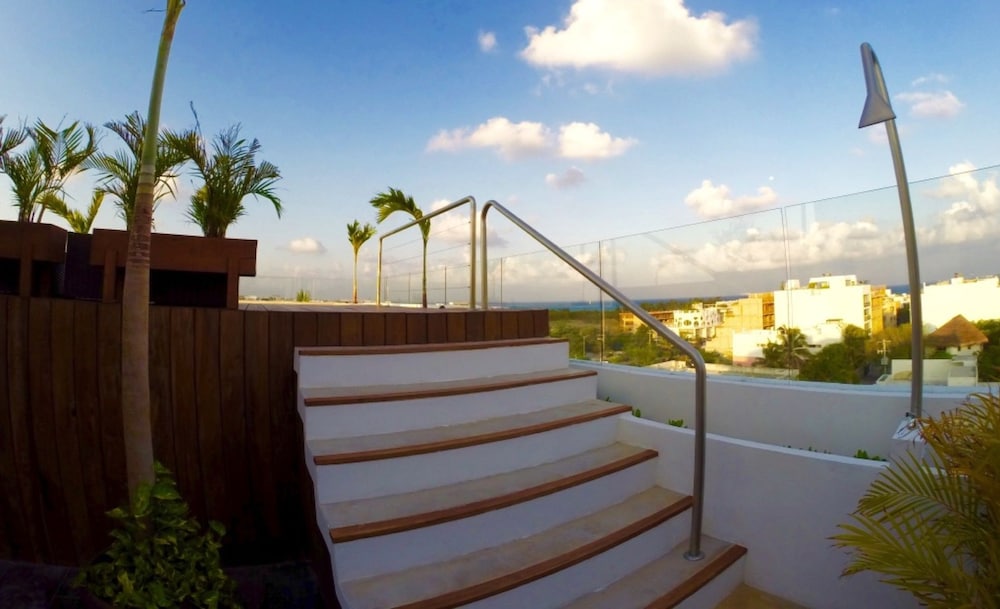 roof