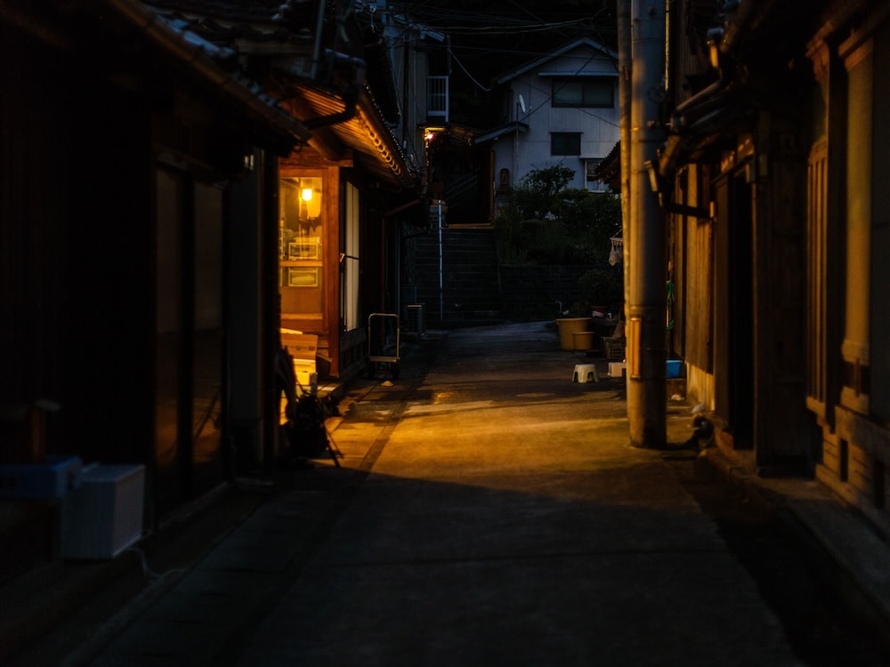 Photo 250