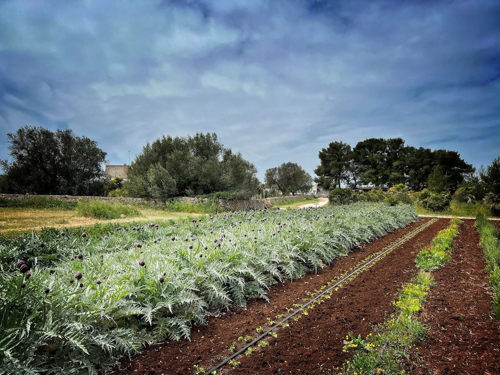 Masseria Palombara