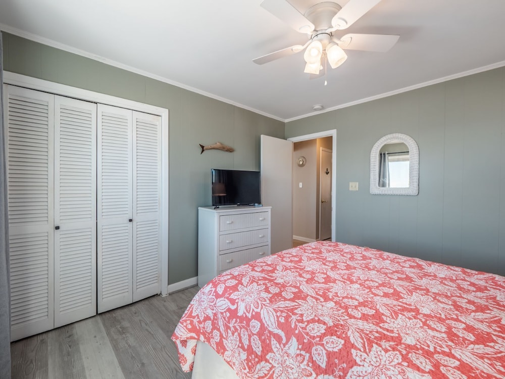 The Shark and the Seahorse by Topsail Realty