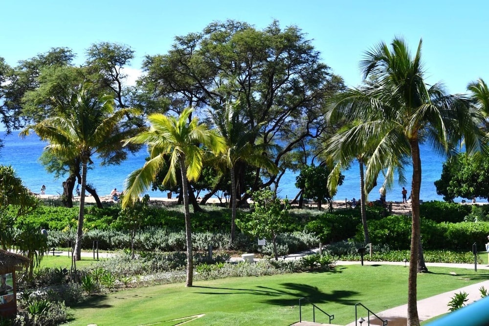 Photo 56