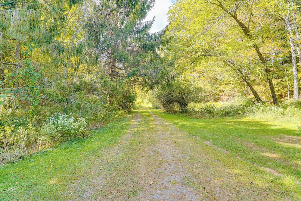 Quiet All-season Creekside Escape in Upstate!