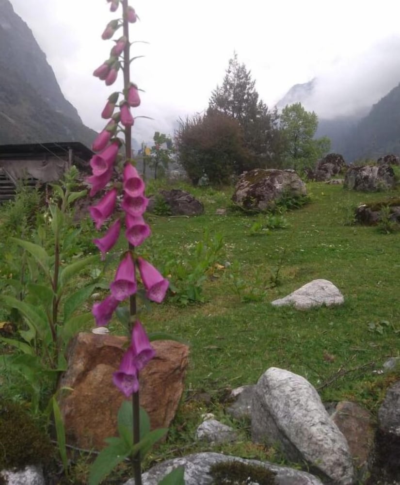 FLORET RESORT LACHUNG