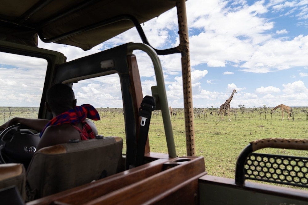 Basecamp Adventure
