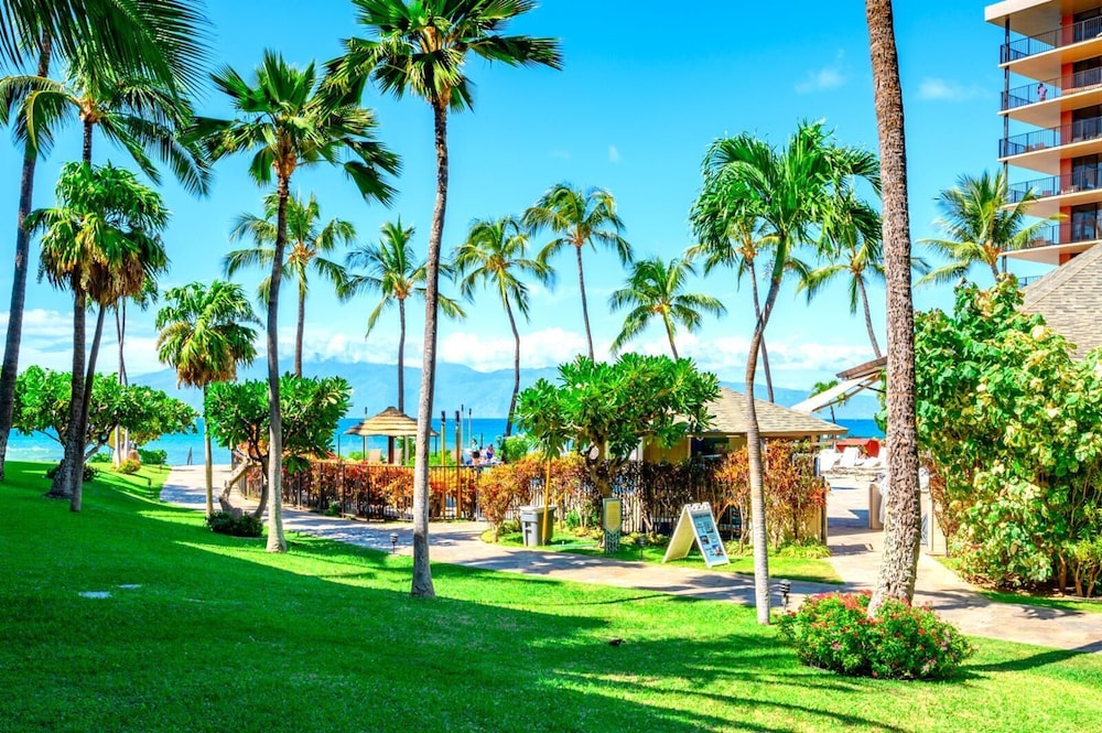 Kaanapali Shores Collection by KBM - 3 Units in same building (155/258/260)