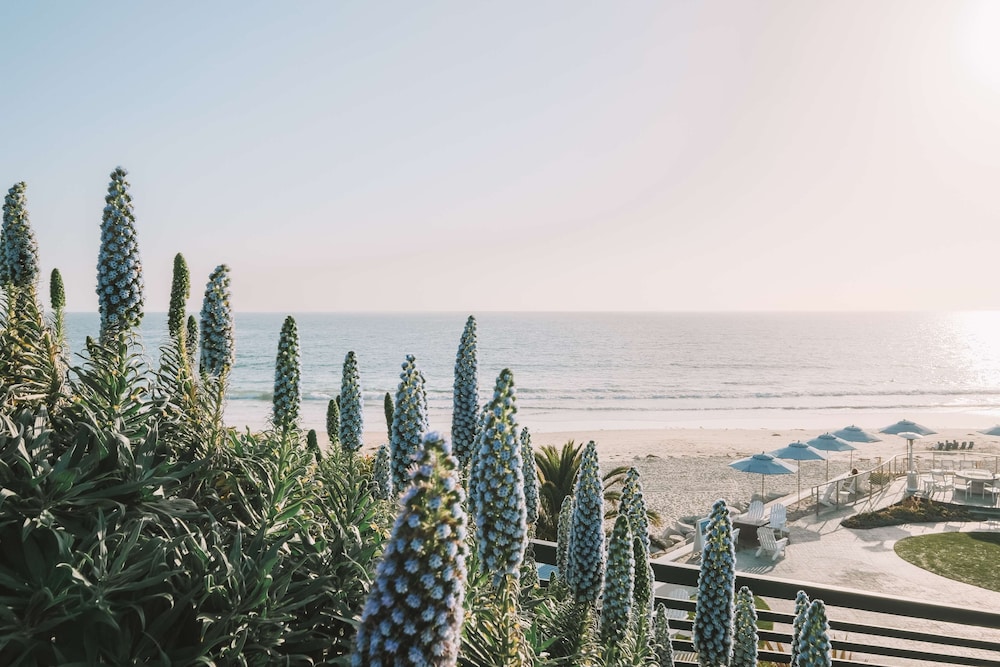Waldorf Astoria Monarch Beach Resort & Club 176