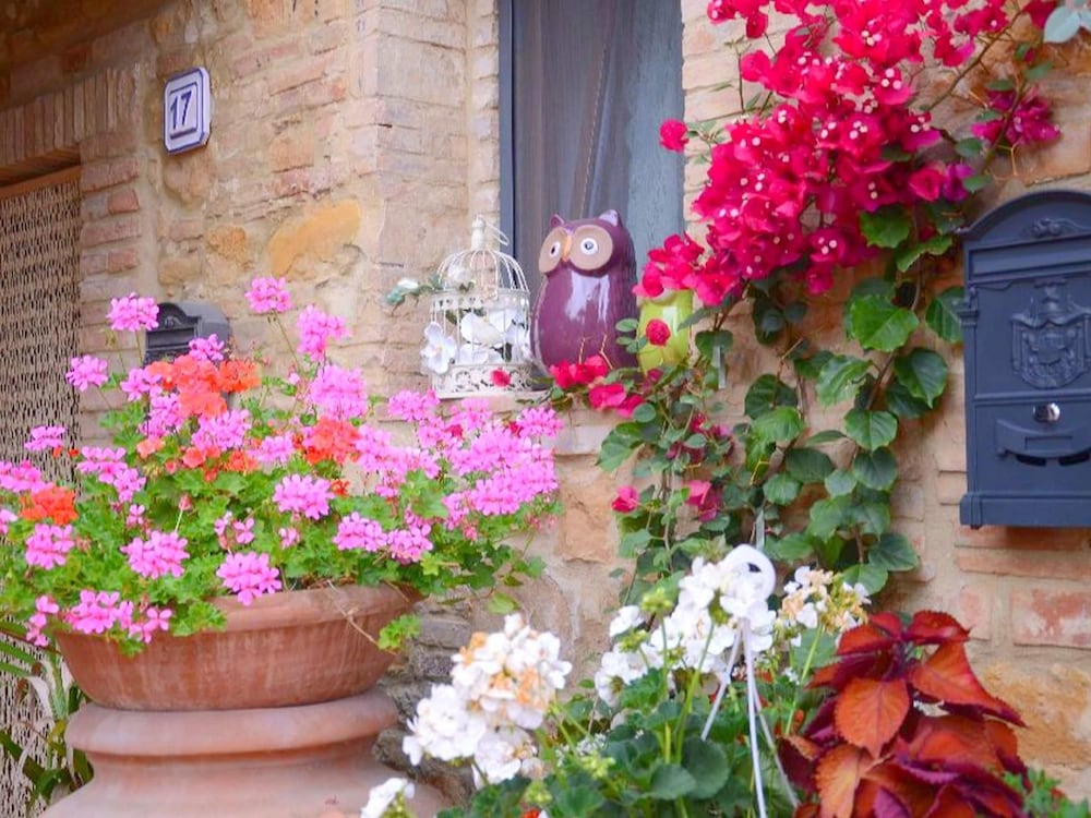 Belvilla by OYO Farmhouse in Montaione view 4