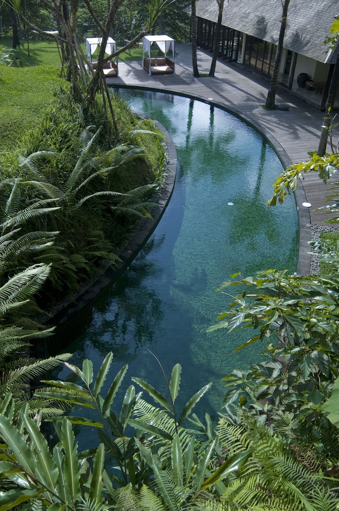 Komaneka at Bisma - Image 2