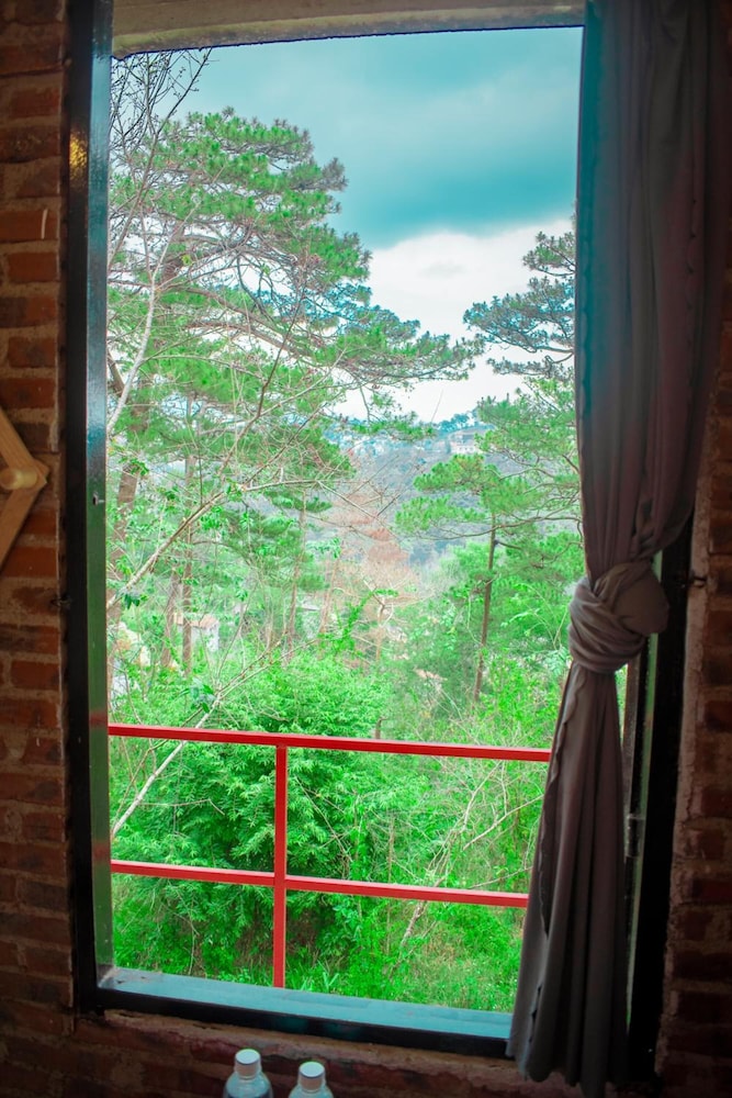 Maple Hostel