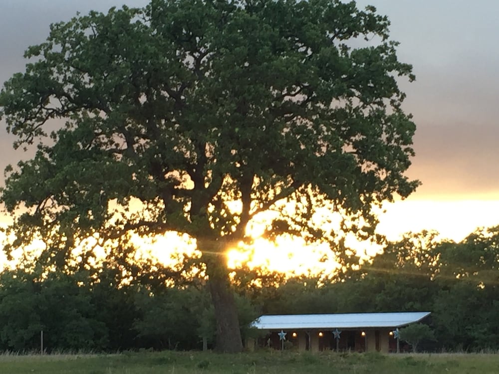 Night Bird Ranch