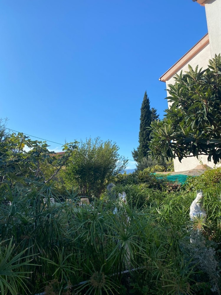 Biljana - 150m From Beach - A4