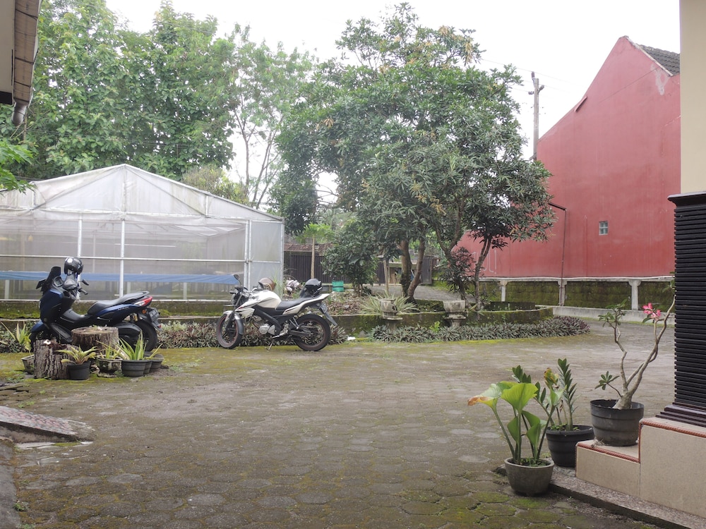 Photo 49
