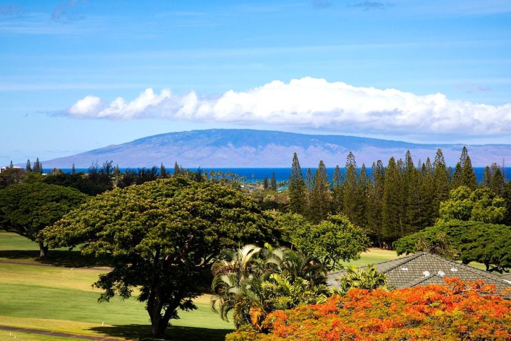 Kapalua Golf 3 Free Cars by KBM Ml-2324