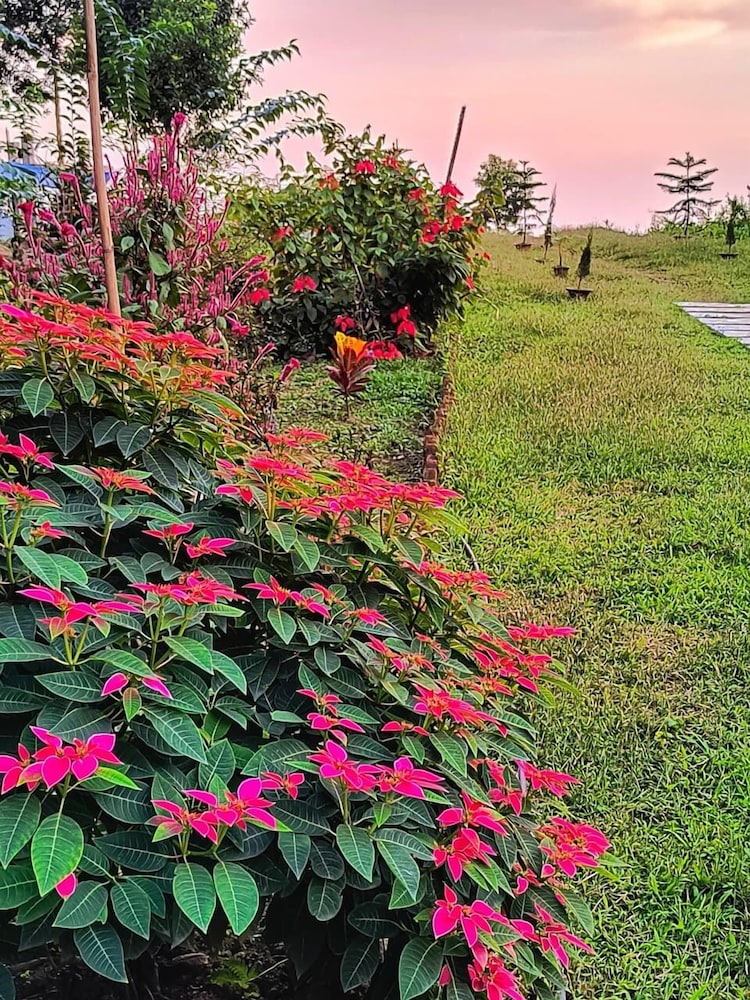 Infinity Viewpoint Homestay