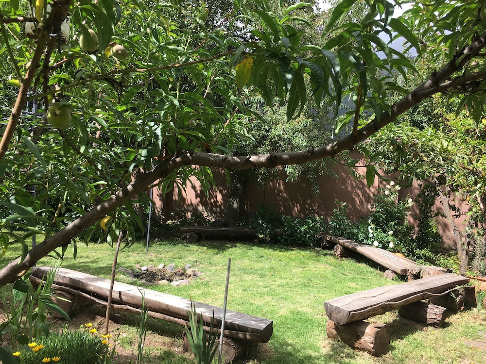 Photo 14