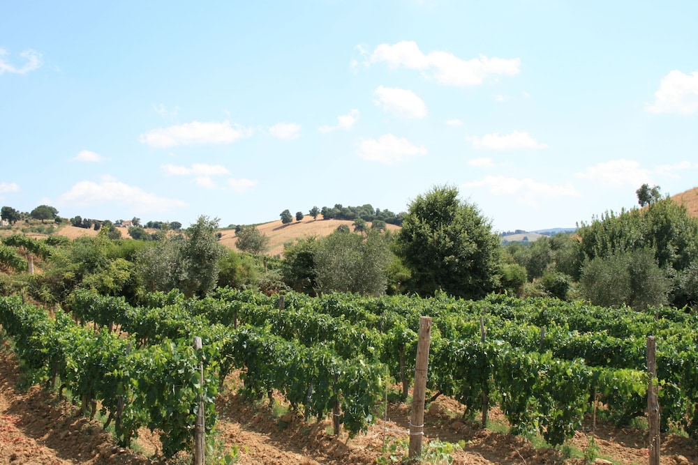 Agriturismo Serratone
