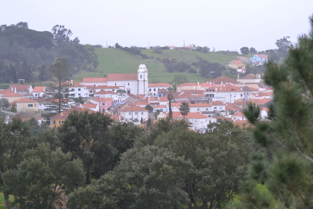 Photo 50