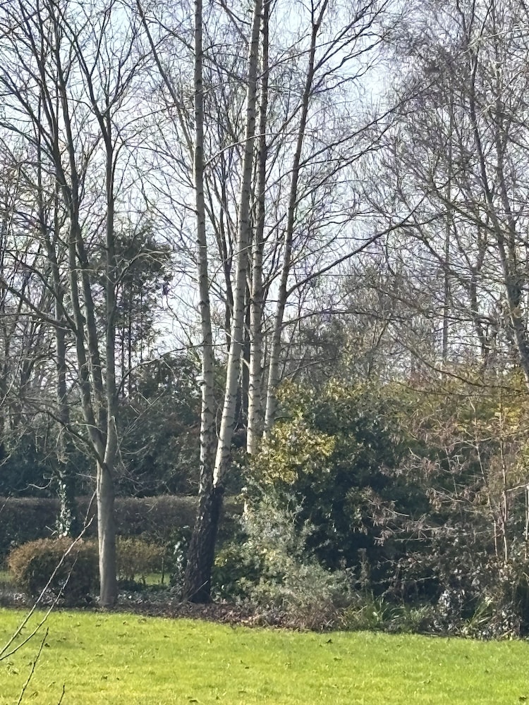 Stone Lodge B&B