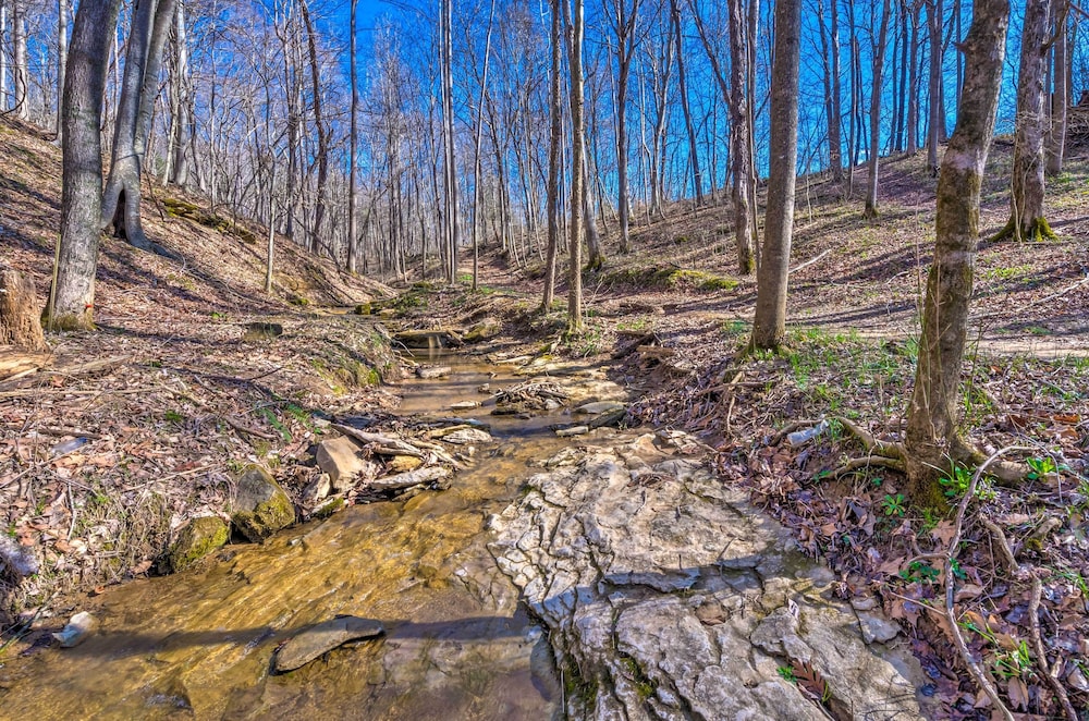 Lewisburg Vacations - Bright Green Gables Cabin: Hike, Swim BBQ - Property Image 3