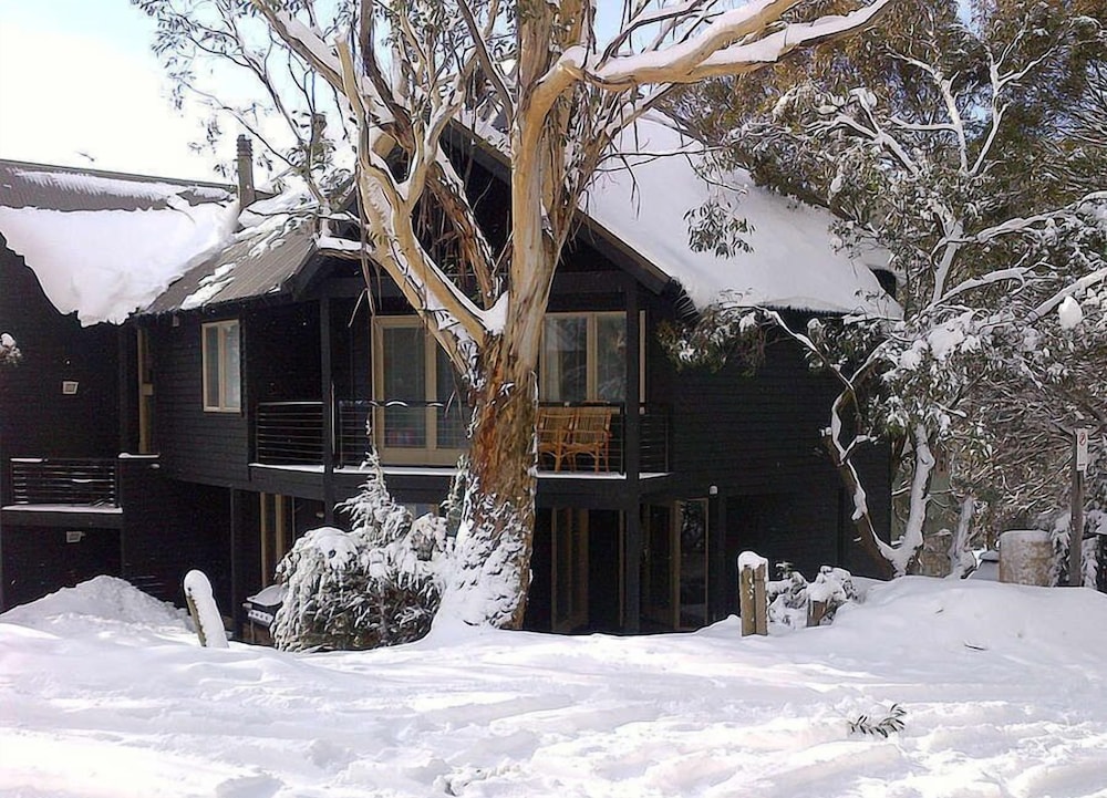 Milkwood
