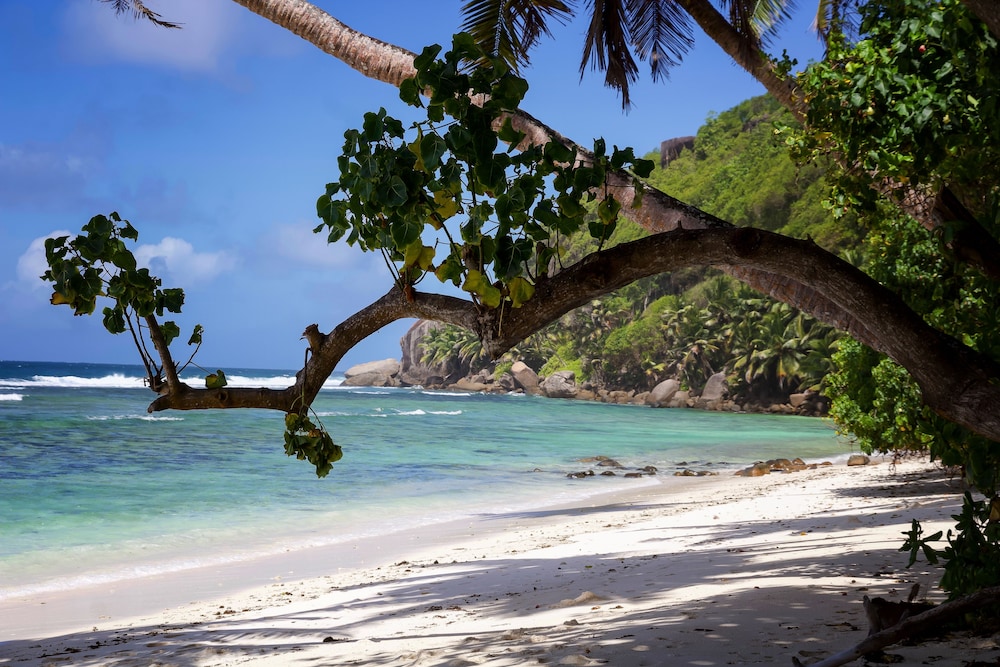 Surfers Self-Catering Chalets