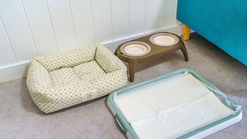 Yangpyeong Beulleosseom pet spa Pension