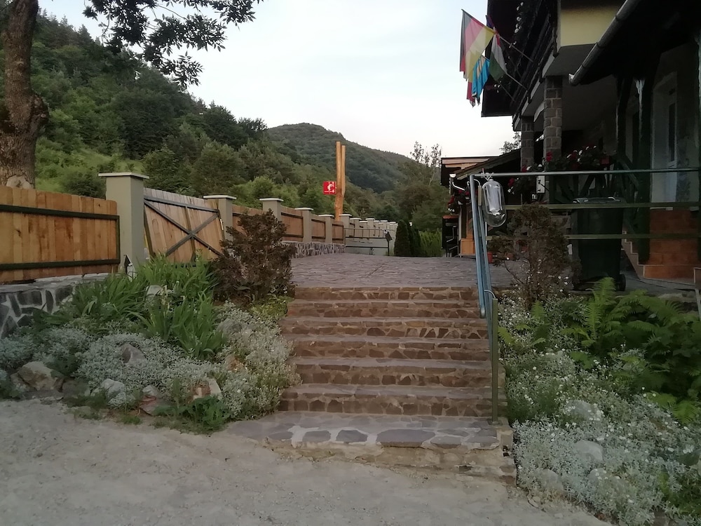 Photo 22