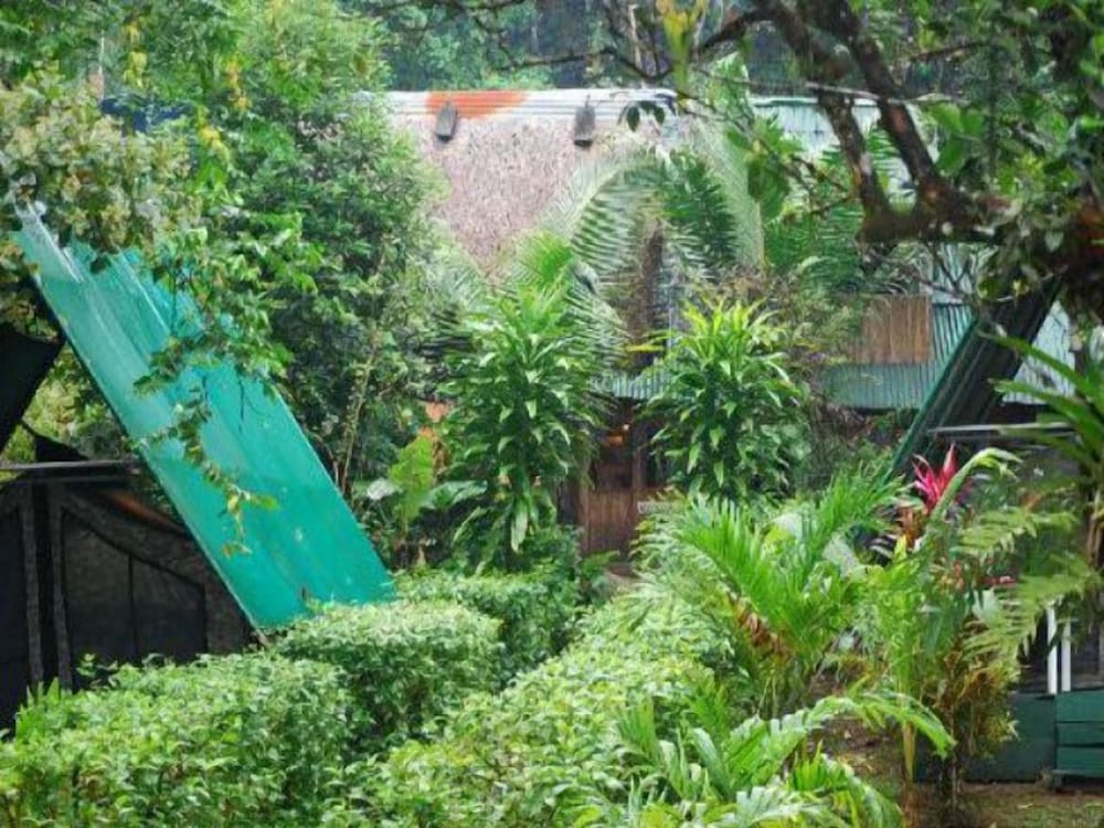 Corcovado Adventures Tent Camp