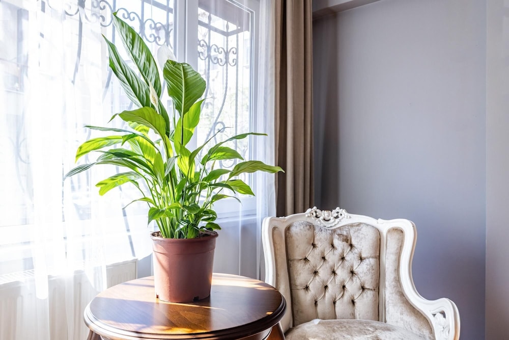 Fully Furnished Magnificent Flat in Uskudar