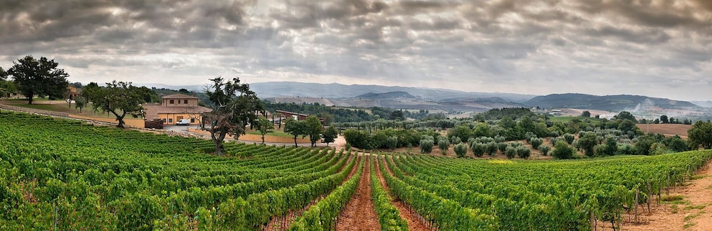 B&B Terenzi Winery