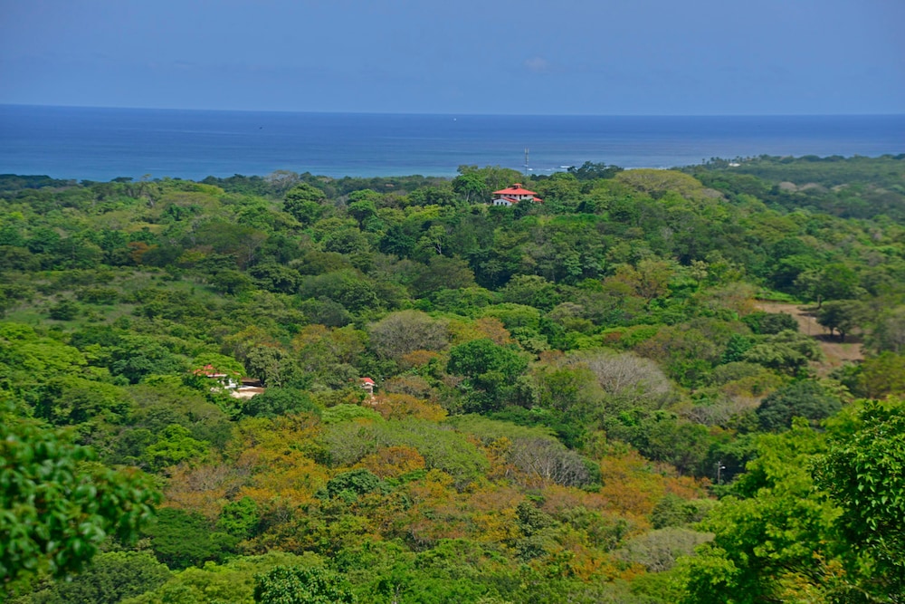 Playa Lagarto Eco Development