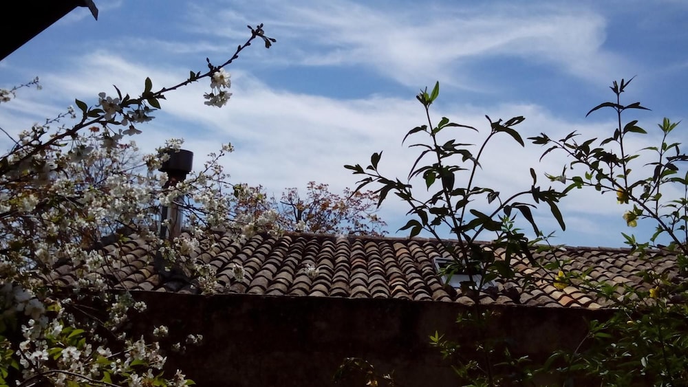 B&B Il Vaso di Creta photo 3