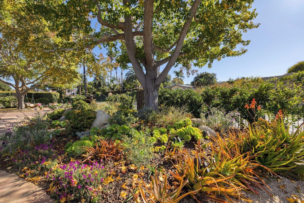 Hummingbird Haven by Avantstay Dog-friendly, Near the Beach, Huge Yard+hot Tub