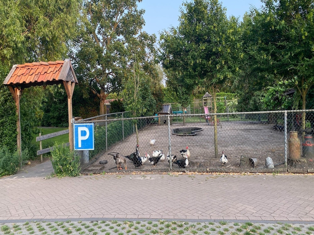 Photo 23