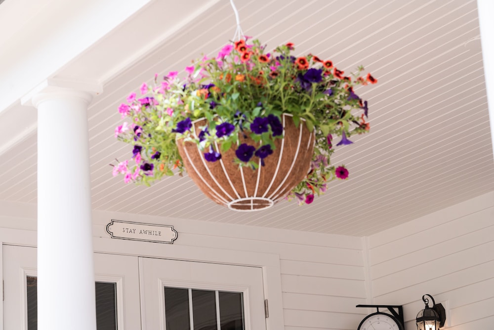 The Millbrook Inn - Property Image 24