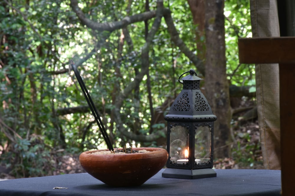 Explorer by Eco Team - Wasgamuwa National Park
