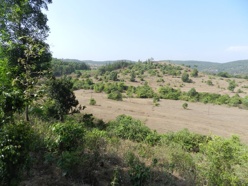 Hotel Sawai Mansing Hill Resort